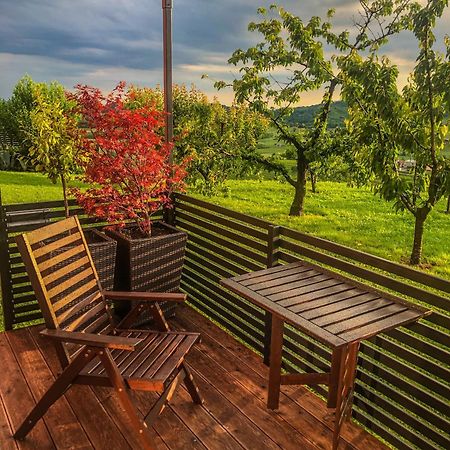 Apartma Sobe Pulec Доброво Экстерьер фото